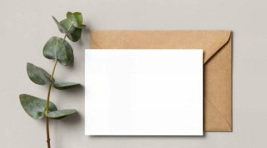 Boş kartın olduğu boş bir zarf, okaliptüs dalları ve beyaz arka planda okaliptüs dalları, üst görünüm düz yatıyordu..