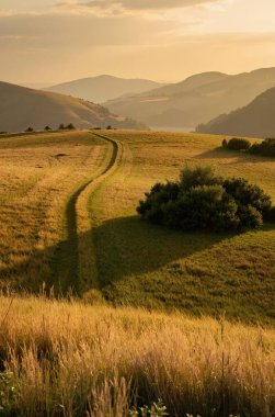 Karpat Dağları'nda kırsal manzara