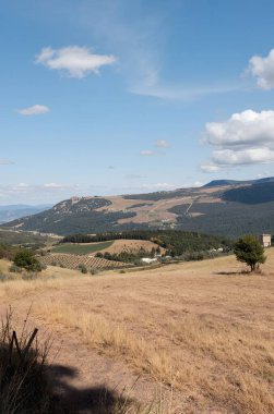 Arkasında bir dağ olan güzel bir manzara.