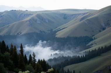 Dağların güzel manzarası