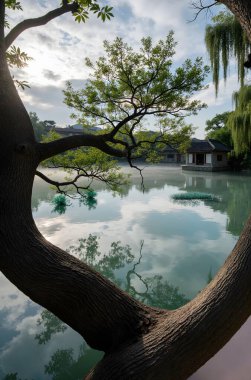 Şehirdeki güzel göl manzarası