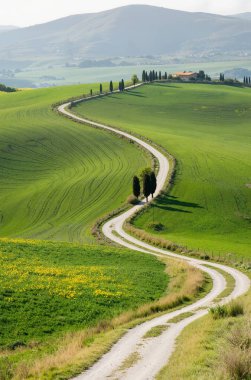 Toskana, İtalya 'da yeşil tarlası olan kırsal yol.