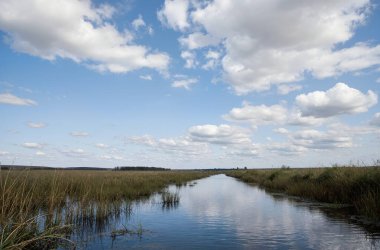 Bir pınar tarlasında nehir.