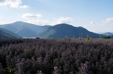 Dağlarda dağları olan güzel bir manzara.