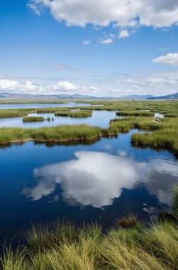 Göl ve dağlarla dolu güzel bir manzara.
