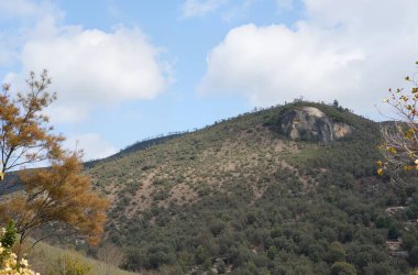 Dağları ve ağaçları olan güzel bir manzara.