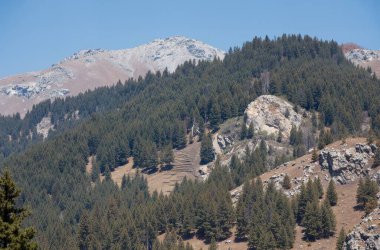 Dağ manzarasının güzel bir görüntüsü.