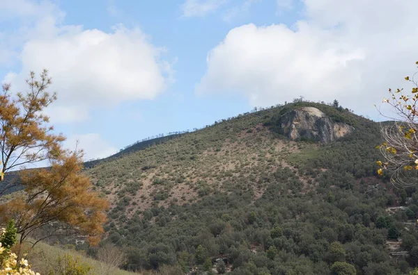 Dağları ve ağaçları olan güzel bir manzara.