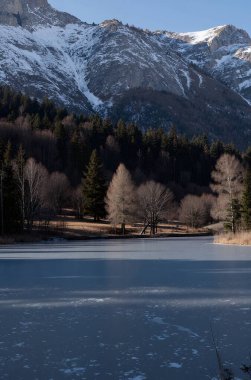 Karla kaplı ağaçlarla kaplı kış manzarası