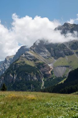 Dolomitlerin yazın güzel manzarası, İtalya.