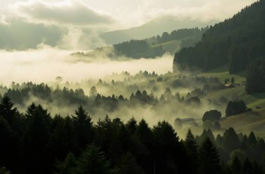 Dağlarda sisli bir sabah