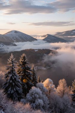 Kar ve ağaçlardan oluşan güzel kış manzarası