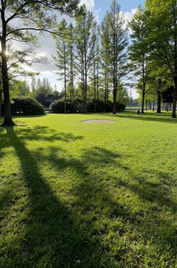 Parkın güzel manzarası