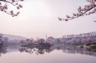 Parkın güzel manzarası