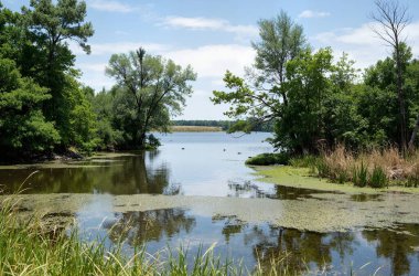 Parktaki nehrin güzel manzarası.