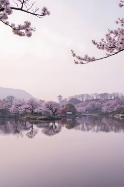 Dağlarda gölü olan güzel bir manzara.