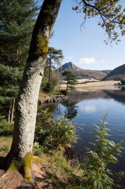 Dağların güzel gölü