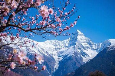 Dağların güzel manzarası
