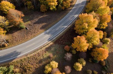 Sonbahar ormanında yol. Ağaçlı sonbahar manzarası. Yukarıdan görünüm