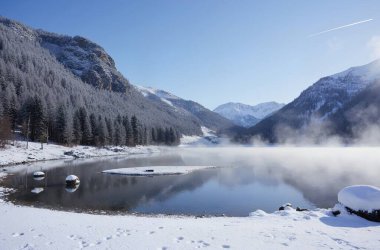 Göl ve ağaçlarla dolu güzel bir manzara