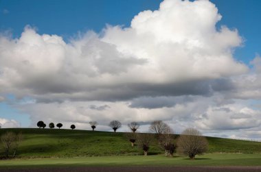 Güzel kırsal manzaranın manzarası