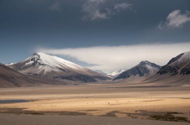 Dağların güzel manzarası
