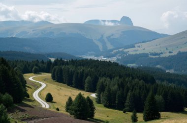 Yeşil bir tarlanın ve dağlarda bir yolun güzel bir görüntüsü.