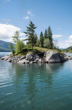 Güzel göl manzarası