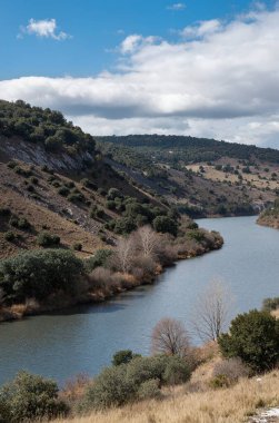 a vertical shot of a river with a mountain in the background
