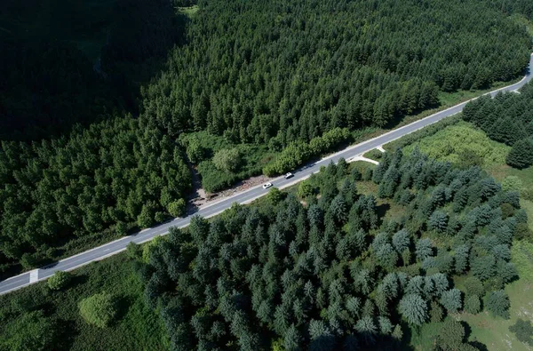 Ormandaki yolun havadan görünüşü