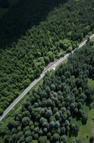 Ormandaki yolun havadan görünüşü