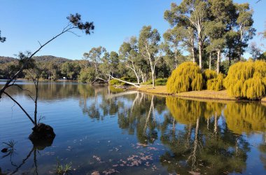 Parktaki güzel göl