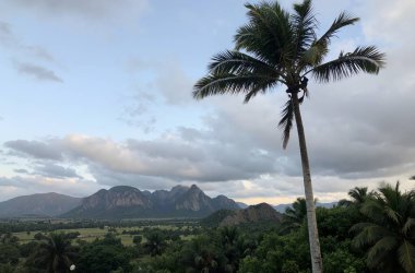Dağları ve bir ağacı olan güzel bir manzara.