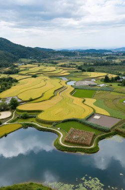 Dağlarda gölü olan güzel bir manzara.