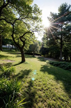 Parkın güzel manzarası