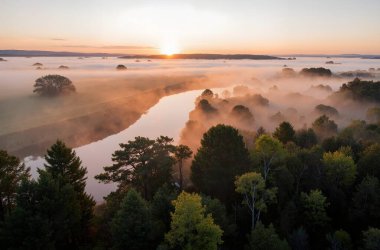 Ormandaki nehrin havadan görünüşü