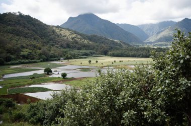 Dağların güzel manzarası
