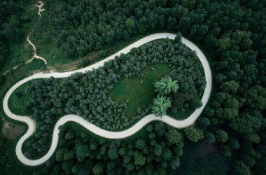 Parktaki nehrin güzel manzarası