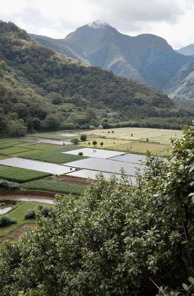 Dağların güzel manzarası