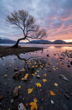 Gölün üzerinde güzel bir gün batımı