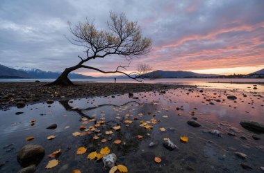 Arkasında bir göl olan güzel bir manzara.