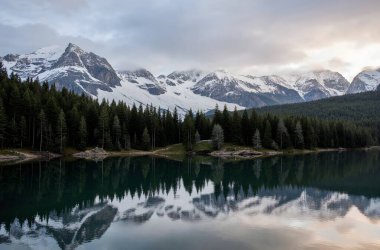 Güzel doğa manzarasının manzarası