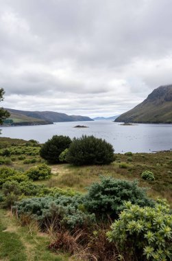 Dağlardaki fiyordun manzarası.