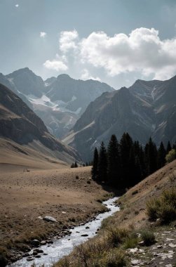 Dağların güzel manzarası
