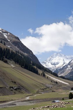 Görkemli Alp manzarası manzarası