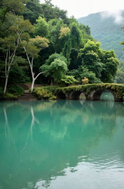 Güzel doğa manzarasının resimli görüntüsü