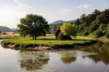 Arkaplanda güneş ışığı altında yeşilliklerle çevrili güzel bir göl manzarası.