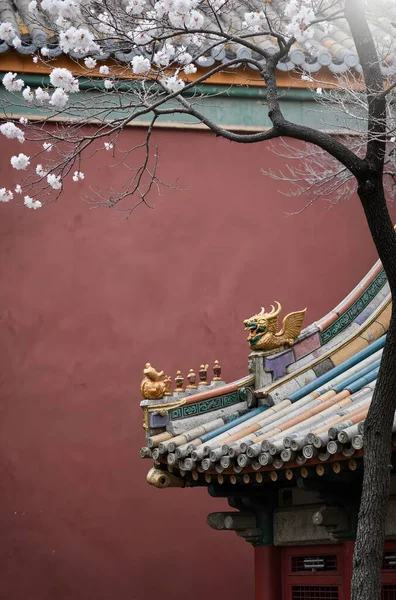 Arka planda yasak şehir