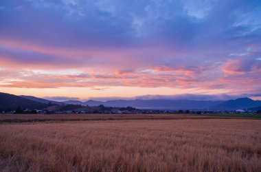 Dağlarda buğday tarlasında gün batımı