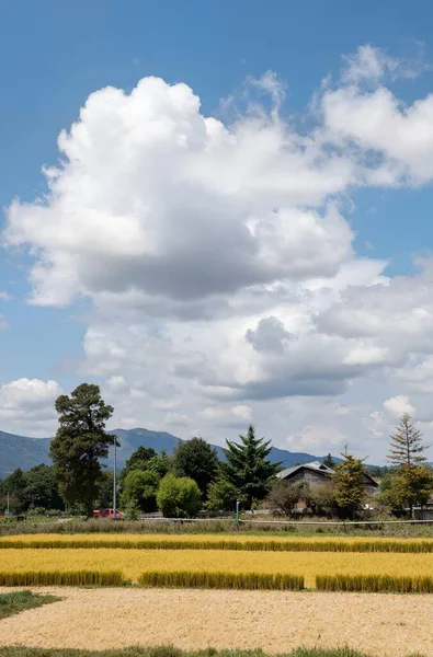 Kırsal manzarası çok güzel.